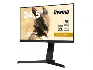 24.5 Inch Full HD Monitor - iiyama GB2590HSU-B1 (new) purchase