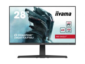 28 Inch UHD Monitor - iiyama GB2870UHSU-B1 (new) purchase