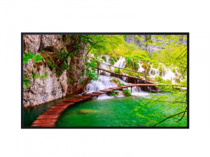 55 inch  Display - Panasonic TH-55CQE2W (new) purchase