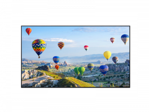 49 inch  Display - Panasonic TH-49SQ1WA (new) purchase